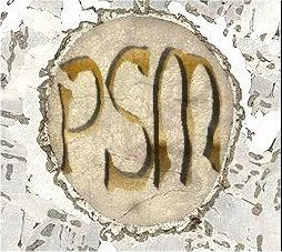 Polski Serwis Meteorytw - logo